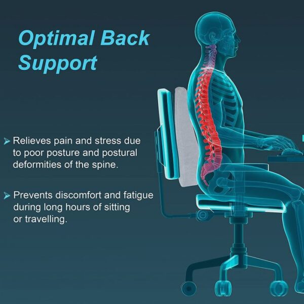 Back-Rest-For-Chair-1-700x700