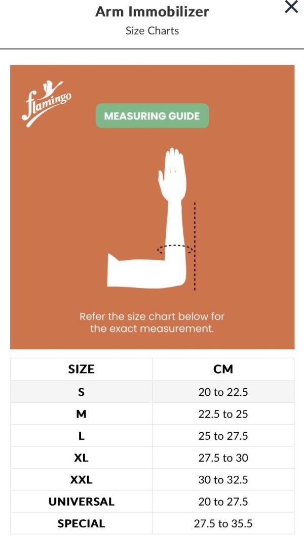 flam arm immobilizer