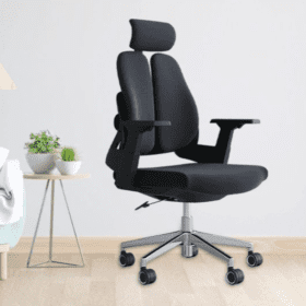Ergonomic Orthopedic Dual Backrest Office Seat For Back Pain