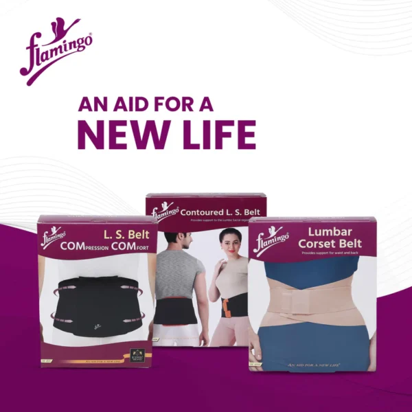 jpeg-optimizer_ContouredL.S.Support-05