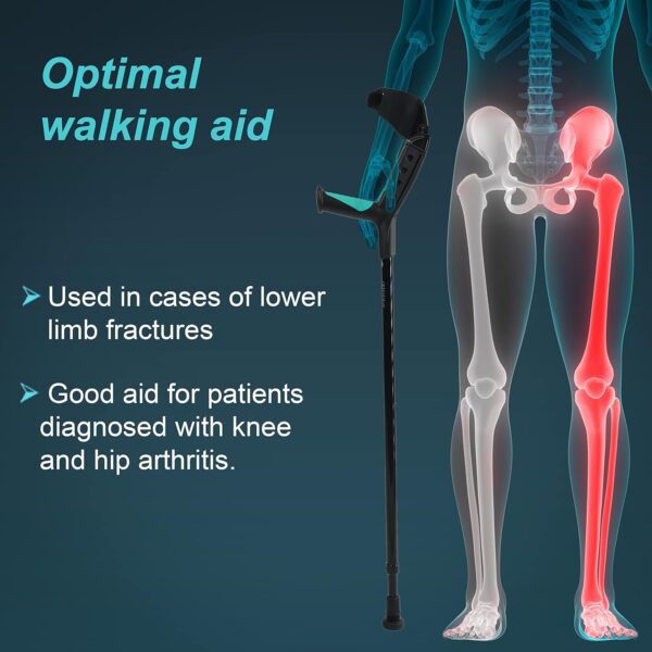 81jPsL9ONPL._SL1500_