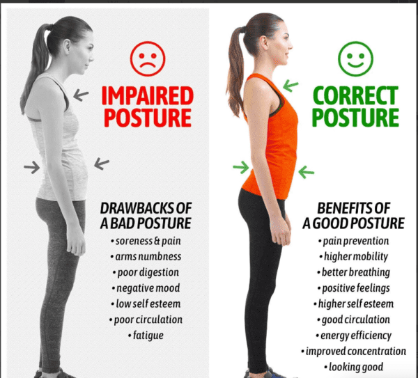 posture support