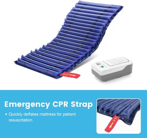 61+4ui0mEXL._AC_SL1500_